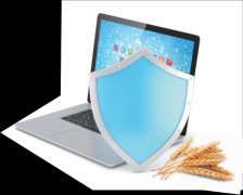 <b>现有食物产物平安诚信尺度</b>